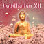 Cover Buddha Bar XII
