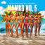 Cover Mambo No. 5 (A Little Bit Of...)