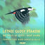 Cover Summertime Bird Songs & Bird Calls