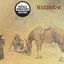 Cover Warhorse (Remastered Version)