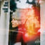 Cover Young Love
