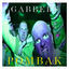 Cover GABBERS