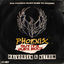 Cover Phoenix (But It's Punk Rock)