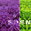 Cover eden