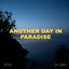 Cover Another Day in Paradise (Acoustic Instrumental)