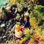 Cover Dialog (Instrumentals)