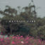 Cover Kendall Park