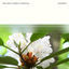 Cover Dendron
