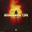 Cover Wonderful Life