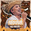 Cover Arraiá Pra Paredão 2