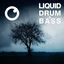 Cover Liquid Drum & Bass Sessions #60