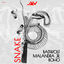 Cover Snake