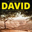 Cover David (Der Herr ist mein Hirte)