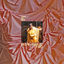 Cover Michelangelo Dying