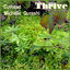 Cover Thrive