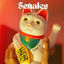 Cover Señales