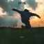 Cover lauf