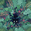 Cover Shapeshifter
