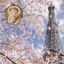 Cover Avenue With Trees (A Second Language Cornucopia)