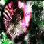 Cover DEATHMATCH II