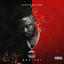 Cover Disturbation 2