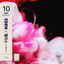 Cover ROSE
