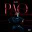 Cover PAO