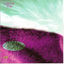 Cover Five