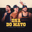 Cover DNA do Mato