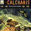 Cover Los Calchakis, Vol. 7 : Sur les ailes du condor
