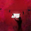 Cover FALZAR