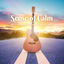 Cover Sense of Calm – Best Folk Acoustic Guitar Sounds