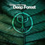 Cover Essence Of The Forest By Deep Forest