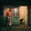 Cover Whatx2