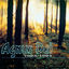 Cover Agnus Dei 1993/1994