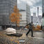 Cover Pharadise