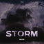 Cover STORM