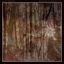 Cover Untouched Rainforest, Pt.3