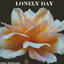 Cover Lonely Day