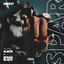 Cover Spar
