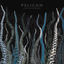 Cover City Of Echoes
