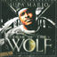Cover Year Of The Wolf