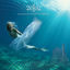 Cover Across an Ocean of Dreams