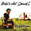 Cover Les os sur la peau