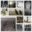Cover Last of the Outlaws