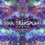 Cover Soul Transplant