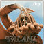 Cover Joy