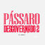 Cover Pássaro Desgorvenado 2