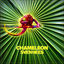Cover Chameleon