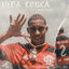 Cover Vida Louca